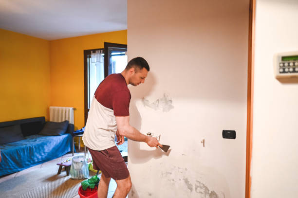 Best Fast Mold Removal  in Alondra Park, CA